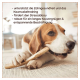 Ein goldener Cocker-Spaniel-Welpe sitzt neben "WILDFANG" Geweihkausnahrung, bekannt für ihre Langlebigkeit, niedrige Kalorien und natürliche Zutaten.