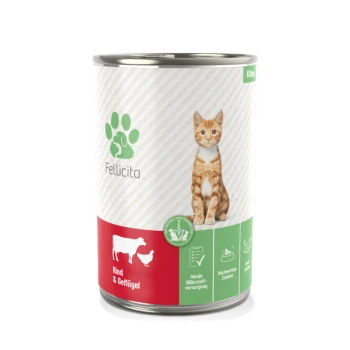 Eine Dose Fellicita Katzenfutter mit einer verspielten orangefarbenen Tabby auf dem Etikett, das "Rind & Geflügel" und Icons für Ernährung zeigt.