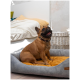 Ein brauner Hund sitzt bequem auf einem grauen und gelben Haustierbett in einem gemütlichen Raum mit einer weißen Decke und einem geflochtenen Korb im Hintergrund.