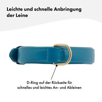 Blaues Hundehalsband mit einem goldenen D-Ring für eine einfache Leinenbefestigung, mit Text, der die schnelle und einfache Verwendung hervorhebt.
