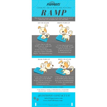 Hund, der auf einer FitPAWS-Rampe trainiert, mit Anweisungen für "Sitz zu Stehen", "Vordere Pfoten hoch", "Hintere Pfoten hoch" und "Runter zu Stehen."