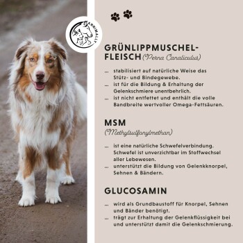 Annimally Gelenktabletten 120 Stück
