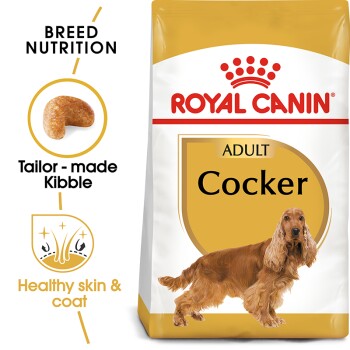 Working cocker spaniel food top