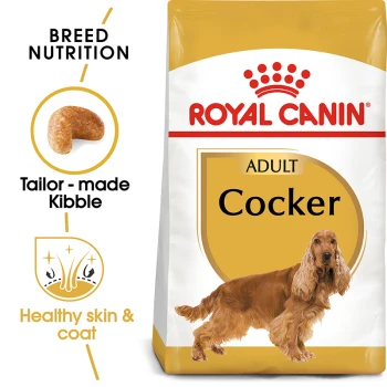Royal Canin Adult Cocker dog food bag in gold, featuring "Breed Nutrition," "Tailor-made Kibble," and "Healthy skin & coat."