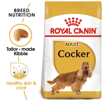 Royal Canin Adult Cocker dog food bag in gold, featuring "Breed Nutrition," "Tailor-made Kibble," and "Healthy skin & coat."