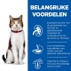 Een zittende tabby kat met een witte borst en een rode halsband naast blauwe tekst die gezondheidsvoordelen opsomt: taurine, mineralen, verteerbare ingrediënten, vitamines.