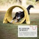 Ein schwarz-weißer Hund läuft durch einen gelben Agility-Tunnel auf Gras, mit dem Text "MIT EXPERTEN ENTWICKELT" über die Entwicklung durch Experten.