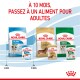 Nourriture pour chiens Royal Canin pour Teckels et races Mini, présentant des formules "Puppy" et "Adult" avec un message de transition en français.