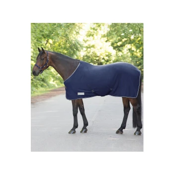 Ein braunes Pferd, das eine marineblaue Decke trägt, steht auf einem von Bäumen gesäumten Weg und zeigt eine Halfter und zwei vordere Schnallen auf der Decke.