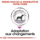 Silhouette d'un chien dans un graphique circulaire avec des flèches, le texte indique : "Prenez soin de la sensibilité de votre chien" et "Adaptation aux changements."