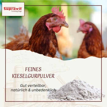 Braune Hennen mit einem Haufen feinem weißem Kieselgurpulver, Supravit-Logo und Text "FEINES KIESELGURPULVER"