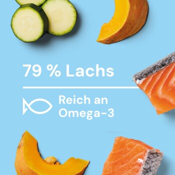 Bild von Lachs und Gemüse auf einem blauen Hintergrund, mit dem Text: '79% Lachs, Reich an Omega-3' und einem Fischsymbol.
