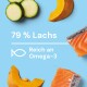 Bild von Lachs und Gemüse auf einem blauen Hintergrund, mit dem Text: '79% Lachs, Reich an Omega-3' und einem Fischsymbol.