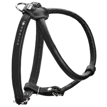 Schwarzes Haustiergeschirr mit einem eleganten Design, mit dekorativen Strasssteinen entlang eines Riemens und verstellbaren Schnallen.