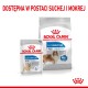 Opakowanie karmy dla psów Royal Canin Light Weight Care, prezentujące 85g saszetkę mokrej karmy i torbę suchej karmy z obrazem psa i tekstem o zarządzaniu wagą.