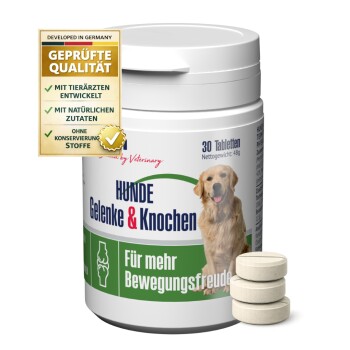 Behälter mit GIGI-Hundegelenktabletten mit einem Golden Retriever-Etikett, das "HUNDE Gelenke & Knochen" und "Für mehr Bewegungsfreude" liest.