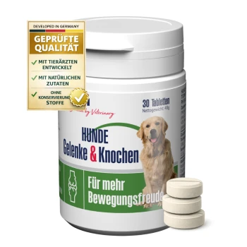 Behälter mit GIGI-Hundegelenktabletten mit einem Golden Retriever-Etikett, das "HUNDE Gelenke & Knochen" und "Für mehr Bewegungsfreude" liest.