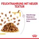 Feuchtfutter mit neuer Textur, zeigt gleichförmige Stückchen in schmackhaftem Gelee, auf weißem Hintergrund.