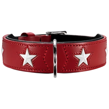 Roter Leder-Haustierhalsband mit weißen Sternverzierungen und einer silbernen Schnalle.