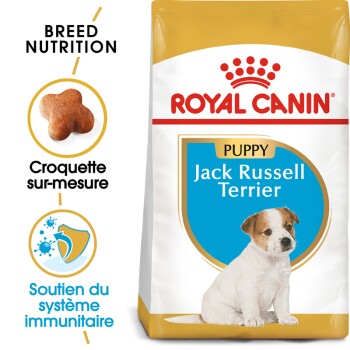 Jack Russell Terrier Chiot Croquettes Chien 1,5 kg
