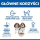 Grafika sklepu zoologicznego po polsku: nagłówek 'GŁÓWNE KORZYŚCI', dwa szczenięta beagle z miską granulatu, niebieskie ikony i polski tekst.