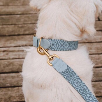 Premium Halsband Gepolstert anthrazit/ blau M