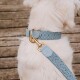 Premium Halsband Gepolstert anthrazit/ blau M