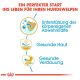 Infografik mit dem Titel "Ein perfekter Start ins Leben für Ihren Hundewelpen", die Vorteile wie Immununterstützung, gesunde Haut und Verdauung zeigt.