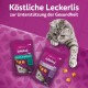 Eine graue getigerte Katze spielt mit zwei Whiskas-Leckerlitaschen auf einer rosa Oberfläche, beschriftet für Gesundheitsunterstützung: "JAGEN & SPIELEN" und "ENTSPANNEN & AUSRUHEN."