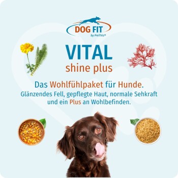 Dog Fit VITAL shine plus Etikett mit braunem Hund, der sich die Nase leckt, und deutschem Slogan 'Das Wohlfühlpaket für Hunde'.
