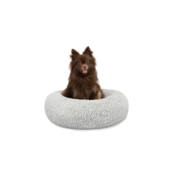 Ein flauschiger brauner Pomeranian-Hund sitzt glücklich in einem weichen, runden grauen Hundebett und zeigt seinen verspielten Ausdruck.
