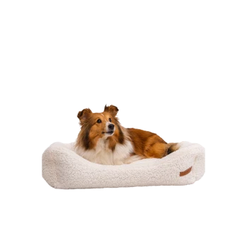 Ein flauschiges, cremefarbenes Hundebett mit einem braunen Lederetikett, auf dem ein Collie-Hund bequem darauf ruht.