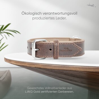 Brauner Lederhundehalsband auf einer Holzoberfläche präsentiert, mit silberner Schnalle und geprägtem Logo, mit Text über umweltfreundliche Produktion.
