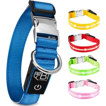 Ein blaues Haustierhalsband mit einer silbernen Schnalle und einem schwarzen Powersymbol-Anhänger, plus vier leuchtende Halsbänder in Gelb, Rot, Grün und Pink.