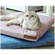 Eine Scottish Fold Katze mit großen blauen Augen entspannt sich auf einem rosa Haustierbett, das auf einem blauen Haustierbett liegt, beide mit braunen Etiketten.