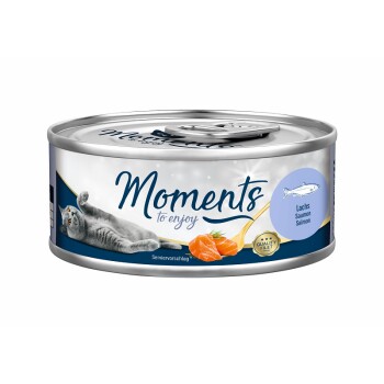 Adult Lachs 12x70 g
