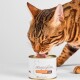 Braun-getigerte Katze leckt an einer Dose Katzenfutter mit der Aufschrift 'Katzenfutter', '95% Fleischanteil', 'Wild', 'Lucky-Kitty'.
