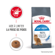 Sac de nourriture pour chats Royal Canin Light Weight avec une image de chat, présentant un texte sur la gestion du poids et un indicateur de calories.