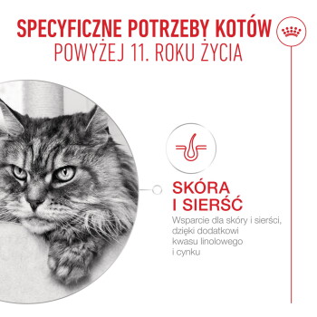 Zdjęcie długowłosego kota w skali szarości obok polskiego tekstu 'SPECYFICZNE POTRZEBY KOTÓW POWYŻEJ 11. ROKU ŻYCIA' i 'SKÓRA I SIERŚĆ'.