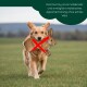 Grüner rechteckiger Hundetrainingsdummy mit Seil und Knebel, beschriftet mit „Romneys“ und „R“.