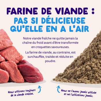 Image partagée : viande rouge fraîche à gauche, farine de viande brune en poudre à droite. Le titre français dit « Farine de viande : pas si délicieuse... »
