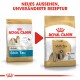 Zwei Beutel Royal Canin Hundefutter für Shih Tzus, mit einem neuen Design, aber dem gleichen Rezept. Text: "NEUES AUSSEHEN, UNVERÄNDERTE REZEPTUR."