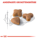 Drei einzigartig geformte Haustierfutter-Kroketten (Stern, Dreieck und rund) auf einem skizzierten Hintergrund mit dem Text 'ANGEPASSTE KROKETTENGRÖSSE' darüber.