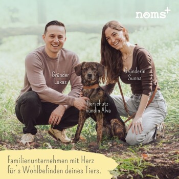 Zwei Personen knien lächelnd mit einem gestromten Tierheimhund; sichtbares 'noms+'-Logo und deutsche Zeile über ein familiengeführtes Unternehmen, das sich um Haustiere kümmert.