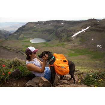 Eine Person in einem ärmellosen Hemd interagiert mit einem schwarzen Hund in einem orangefarbenen Rucksack, mit Bergen und einem See im Hintergrund.