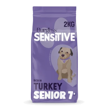 Lila Tüte Burgess Sensitive Hundefutter, 2 kg, reich an Truthahn, SENIOR 7+ mit Abbildung eines älteren Hundes