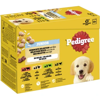 Pedigree Junior Hundefutterbox mit einer gemischten Auswahl mit Reis, einschließlich Rind-, Huhn- und Lammgeschmack, in Gelee.