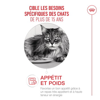 Chat senior à poils longs près d'une gamelle ; le texte publicitaire français indique : « Cible les besoins des chats de plus de 15 ans » et « Appétit et poids ».