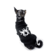 Ein kleiner Hund, der einen schwarzen Pullover mit einem weißen Spinnenmuster trägt, von hinten vor einem weißen Hintergrund betrachtet.