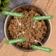 Lecker.Pet Emily's Feine Paté Reich an Rind Katzenfutter Nassfutter Vollnahrung 34x100 g